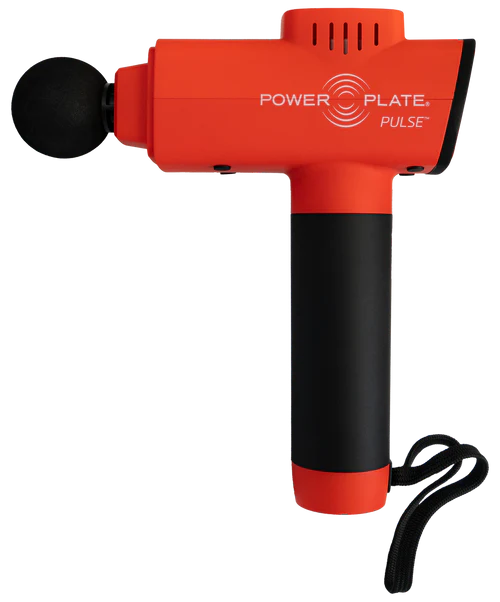 Fit for Summer Bundle & Program